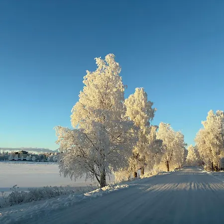 Scandic Style Katajaranta