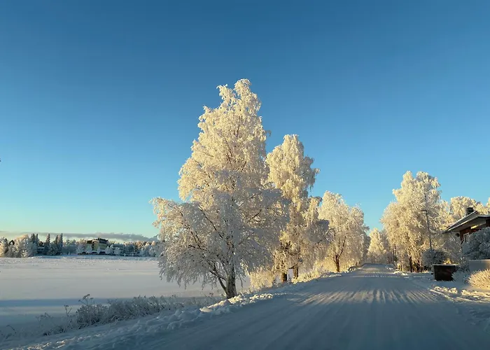 Scandic Style Katajaranta